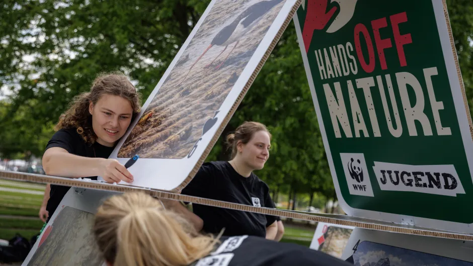 Mehrere junge Menschen der WWF Jugend bauen Kartenhaus der Biodiversität auf, um vor dem Kanzleramt für den Erhalt der EU-Naturschutzgesetze zu protestieren - Karten mit Naturmotiven und dem Slogan "Hands Off Nature" werden vorsichtig gestapelt.